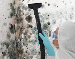 Best Mold Odor Removal Services  in Crestline, CA